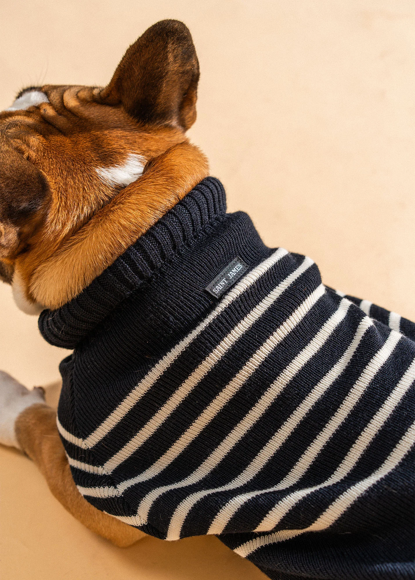 Toutoupull (NAVY/ECUME) - Image 3