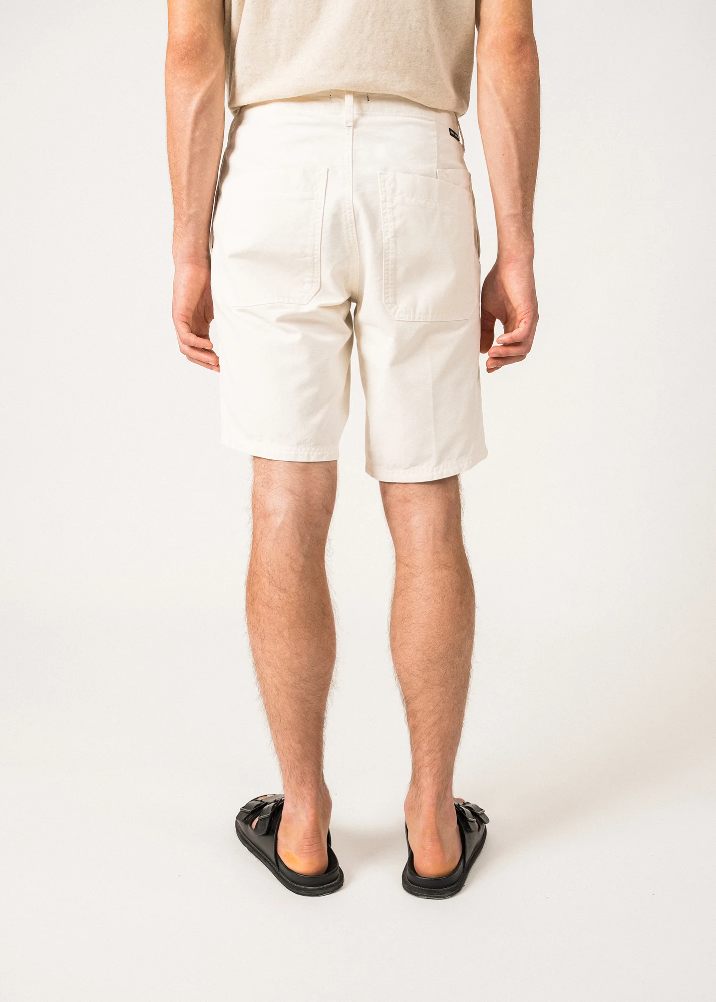 Short Titus (CRAIE) - Image 2