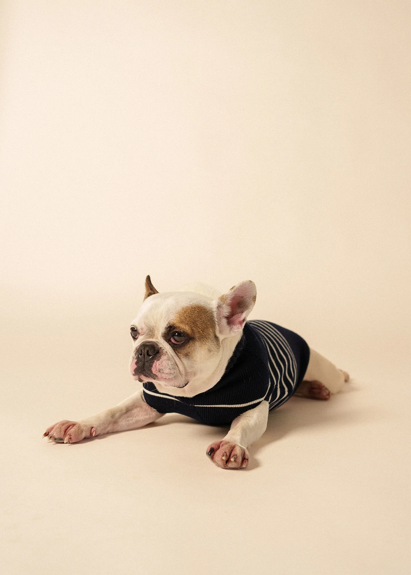 Toutoupull phosphorescent - en laine (NAVY/PHOSPHORESCENT) - Image 3